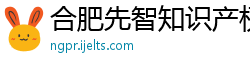 合肥先智知识产权服务有限公司